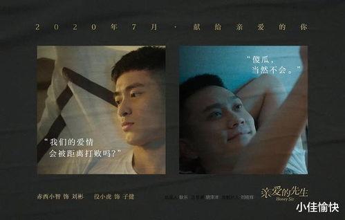 国产同性,情感与现实的交织 第3张 国产同性,情感与现实的交织 第3张