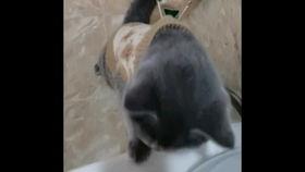 国产老肥熟 第3张 国产老肥熟 第3张