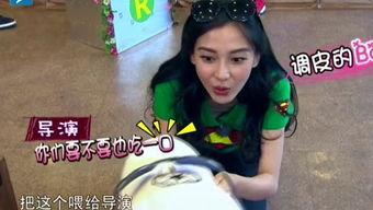 娱乐吃瓜酱笑声视频大全,笑翻天!娱乐吃瓜酱笑声视频大全集锦