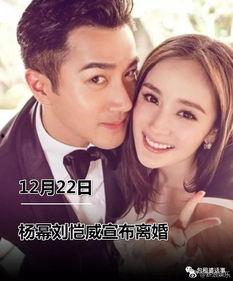 我在娱乐圈吃瓜爆红小说